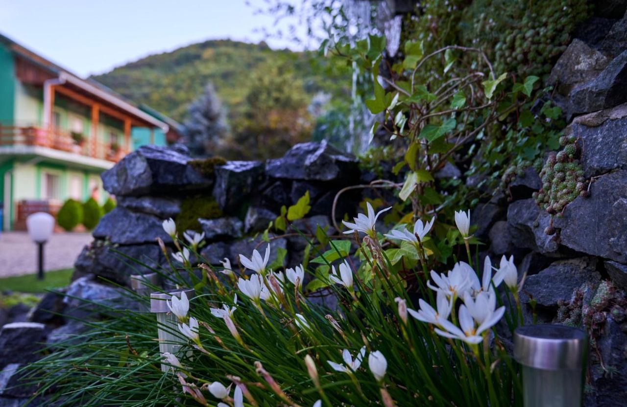 Pension Charisma Băile Herculane Exterior foto